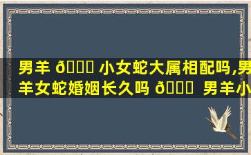 男羊 🐕 小女蛇大属相配吗,男羊女蛇婚姻长久吗 🐋  男羊小女蛇大属相配吗